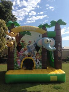safari slide bouncy castle 3