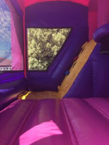 Princess and Fairies Inside View