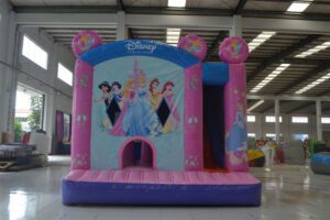 Princess Slide