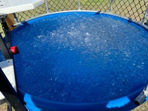 dunk tank with ice