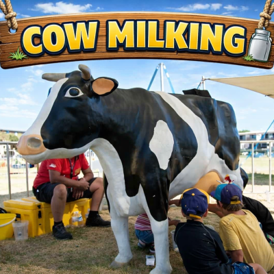 Cow Milking