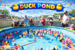 Duck Pond