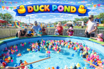 Duck Pond
