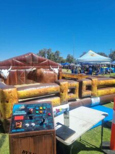 bucking bull mattress brown