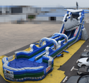 Dual Lane Shark Water Slide-SL (1)