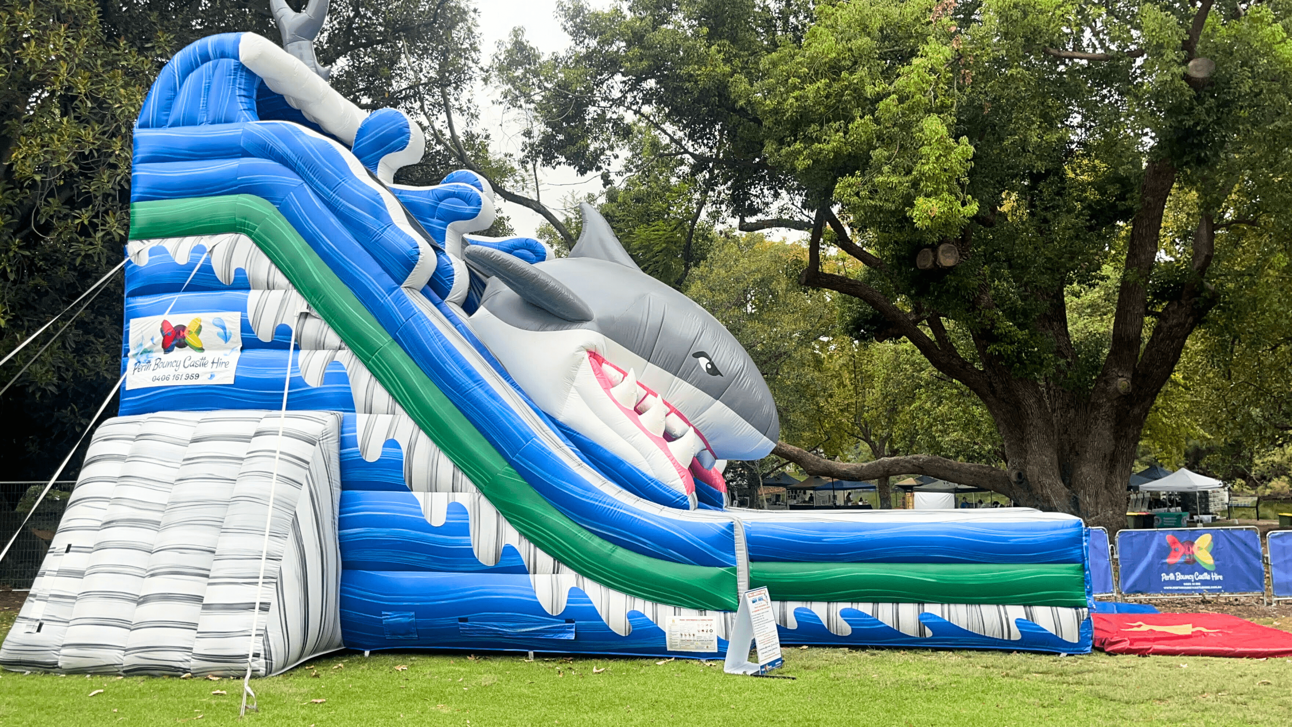 The Great White Shark Side View