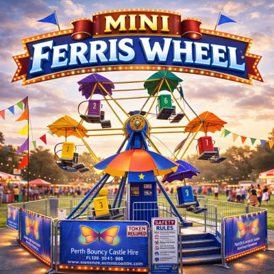 Mini Ferris Wheel