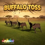 Buffalo Toss